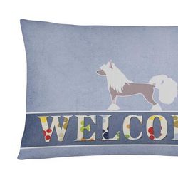 Caroline's Treasures 12 in x 16 in Outdoor Throw Pillow Chinese Crested Welcome Canvas Fabric Decorative Pillow