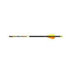 Carbon Express D-Stroyer SD Arrows 1403469