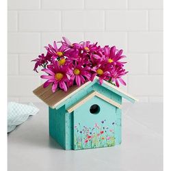 1-800-Flowers Plant Delivery Birdhouse Of Blooms