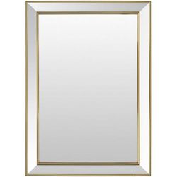 Netzschkau 43"H x 31"W x 1"D Traditional Gold Accent Mirror - Boutique Rugs