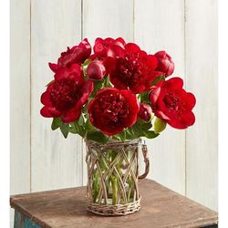 1-800-Flowers Flower Delivery Red Charm Peony Bouquet 10 Stems W/ Wicker Vase