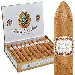 White Heather - Box of 20