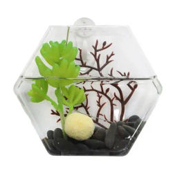 Glass Wall Vase Hexagon Wall Plant Pots Wall Flower Vase Terrarium Wall Fish Tank Aquarium Container