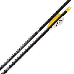 Easton Sonic 6.0 400 spine Carbon Arrows - 6 Pack - Black