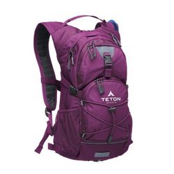 Teton Oasis 18 Liter Hydration Backpack - Olive Green One Size