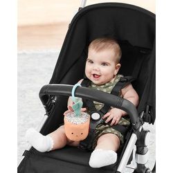 Skip Hop Garden Oasis Stroller Toy