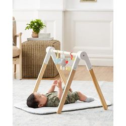 Skip Hop Silver Lining Cloud Wooden Activity Gym