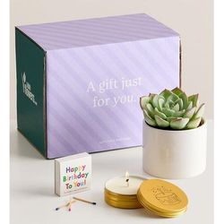 1-800-Flowers Plant Delivery Celebration Succulents Hooray It's Your Birthday