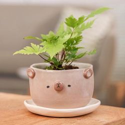 'Thai Bear-Themed Glazed Ceramic Flower Pot and Saucer Set'