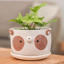 Brown Panda Nature,'Brown Panda Ceramic Flower Pot and Saucer Set (Extra Large)'