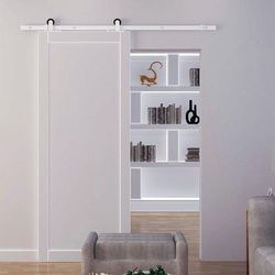 TEMU 6ft Rustic Interior Sliding Barn Door Mounting Hardware Kit - White