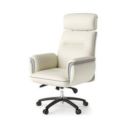 Eureka Ergonomic(R) Royal Executive Office Chair, Support up to 300 lb, 19.46"-22.26" Seat Height, White PU Leather Seat, White Faux Leather Back (EKA