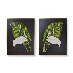 New York Botanical Garden Charcoal Peace Lily - Print I - Frontgate