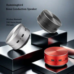 Haut-parleur à Conduction osseuse, sans fil, Compatible Bluetooth, son stéréo TWS, colibri, avec Radio FM, livraison directe, 2024