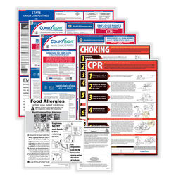 Complyright Restaurant Federal (Bilingual) And State (English) Labor Law 1-Year Poster Service, Delaware