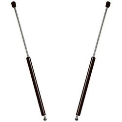 Strong Arm Lift Support Hood, Hood (Driver & Passenger Side), 1-year limited warranty SET-STA4162-2