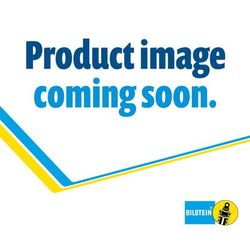 Bilstein Shock Absorber & Strut Assembly, Front, Driver Side, 2 year limited warranty 22-337450