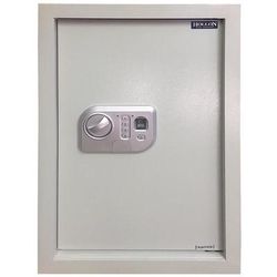 Hollon Biometric Wall Safe