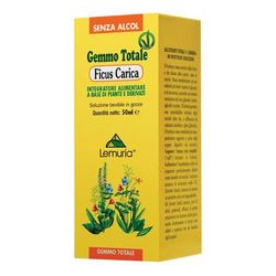 Ficus Carica Soluzione 100 ml orale