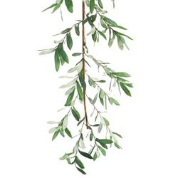 Olive Leaf Foliage Garland 5.5'L by Melrose in Green/brown