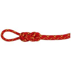 Mammut 8.0 Alpine Core Protect Dry Rope fire-halo 30 m 2010-05010-3788-1030