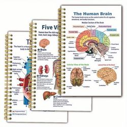 TEMU 3 Notebooks With Of Anatomical Structure Diagrams Of Human Organs, 5.5x8.3 Inches, Double-sided 50 Pages, Rounded Corner Design, Thick And Durable Cover, Ideal For Learning