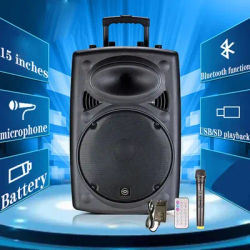 Haut-parleur Bluetooth sans fil de 15 pouces, haut-parleur stéréo Portable à haut Volume pour danse carrée, caisson de basses, karaoké Mobile haute puissance