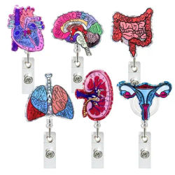 Creative Acrylic Heart Lung Brain Kidney Uterus Intestine Badge Reel Retractable Alligator Clip ID Card Holder for Nurse Doctor