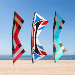 Quad line stunt kites outdoor fun sport kite outdoor toys for adults kite professional dancing squid parachute kite power kite