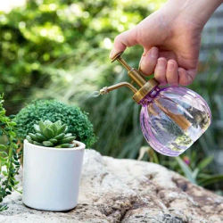 350 Retor Plant Flower Wiring Phot Bottle Garden per Sprayer Gar