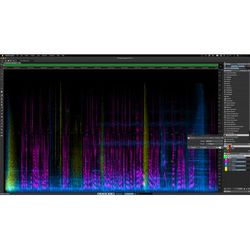 Steinberg SpectraLayers Elements 12