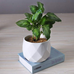 Ceramic Diamond Planter For Indoor Plants 12x9cm