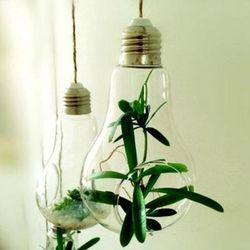 Modern Light Bulb Planter Modern Light Bulb Planter