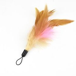 Interactive 90cm Cat Teaser: Feathered Rod With Replaceable Head Color: Feather Head
