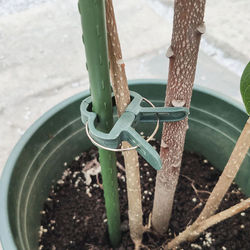 20 Pcs Plastic Plant Support Clips 20 Pcs Plastic Plant Support Clips