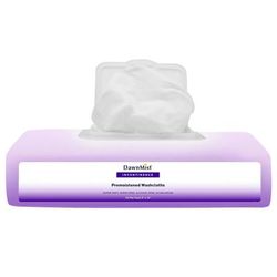 DawnMist Personal Cleansing Wipe Soft Pack Fresh Scent 64 Count (747549_CS)