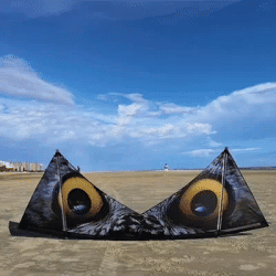 Free shipping quad line stunt kites for adults ultra large kite outdoor toys dragon flying carretilha de pipa linha de pipa hoka