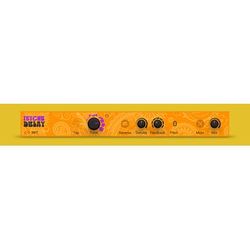 Native Instruments Psyche Delay