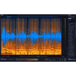 iZotope RX 12 Standard EDU