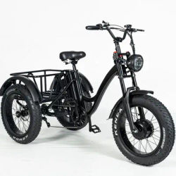 24/26 Inch NEW Fat Tire Motorized Electric Tricycle with EN15194/ Cheap Electric Trike/ 3 Wheel Electric Bike with Pedals