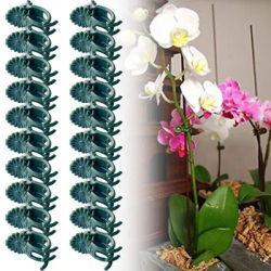20 pièces orchidée tige pince plante Support vigne Clips en plastique fleur grandir branche pinces jardin plante Support luminaire Support