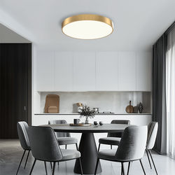 Aria | Modern Ceiling Light | Warm White (3000k) | MOD LIGHTING