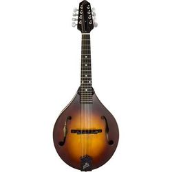The Loar LM-110E-BRB