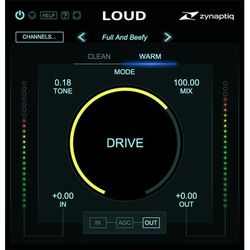 Zynaptiq Loud