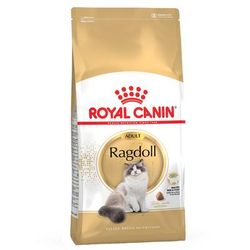 2x10kg Ragdoll Royal Canin Economy Dry Cat Food