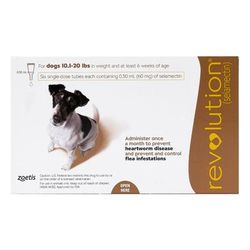 Revolution For Small Dogs 10.1 - 20lbs (Brown) 6 Doses