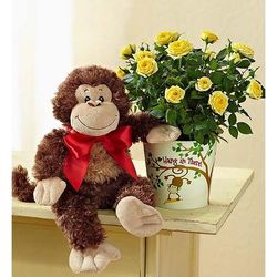 1-800-Flowers Flower Delivery Hang In There Rose Plant W/ Monkey | Happiness Delivered To Their Door