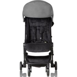 Mountain Buggy Nano V2 Compact Stroller - Silver (Albee Exclusive)