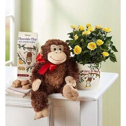 1-800-Flowers Flower Delivery Hang In There Rose Plant W/ Monkey & Cookies | Happiness Delivered To Their Door