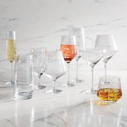 Set of 6 Schott Zwiesel Pure Drinkware Collection - Martini Glasses - Frontgate